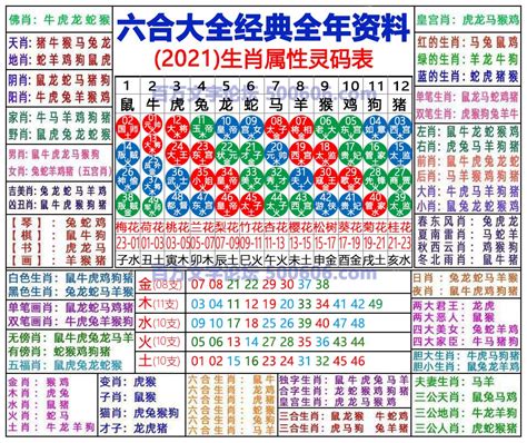 2024 年生肖|2024年生肖表 2024年生肖表图